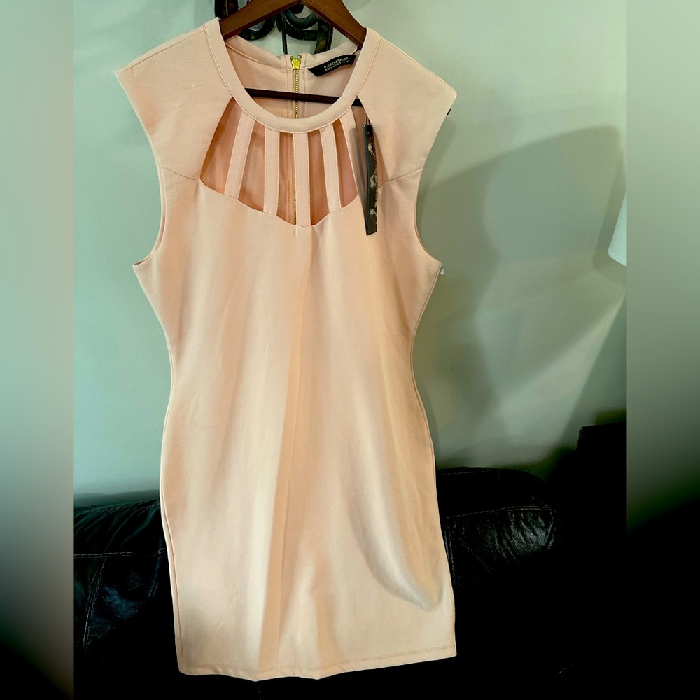 Kardashian Kollection XL Sleeveless Cutout Neckline Dress in Blush Pink